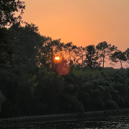 Bota Nova Sort-en-Chalosse