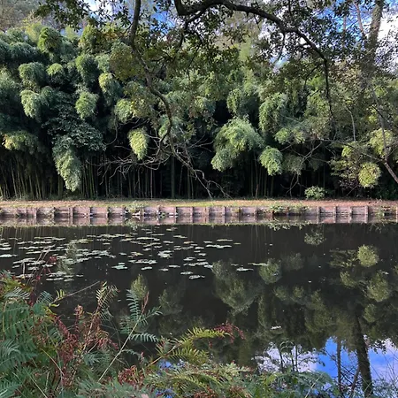 Villa Bota Nova *