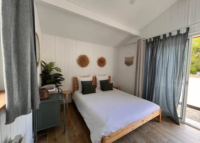 Bota Nova Sort-en-Chalosse