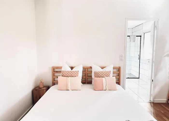 Bota Nova * Sort-en-Chalosse