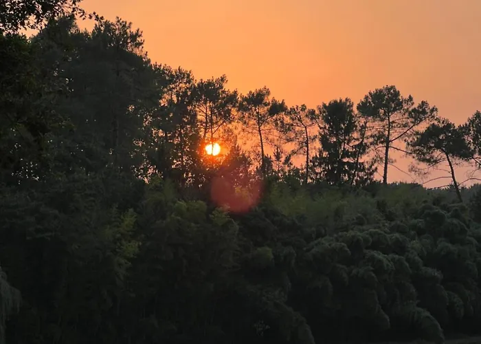 Bota Nova Sort-en-Chalosse